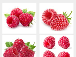 多種水果高清大圖與設(shè)計(jì)素材集合，附飲品美食大全與新鮮蔬菜資源